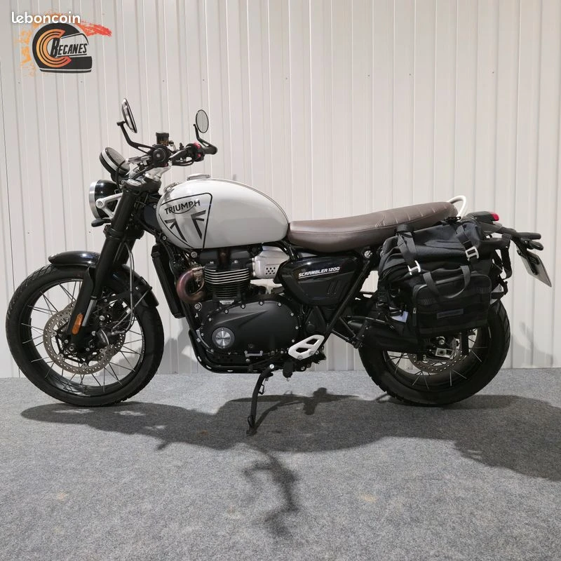 Triumph 1200 scrambler x