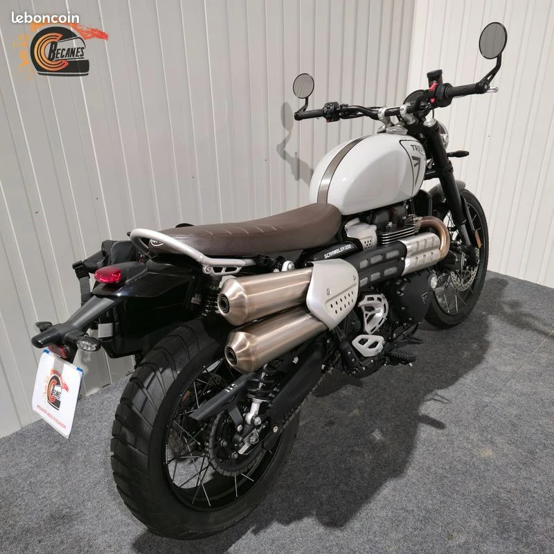 Triumph 1200 scrambler x
