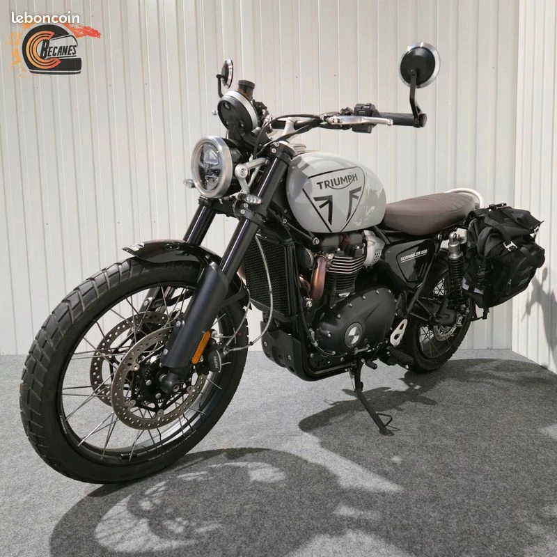 Triumph 1200 scrambler x